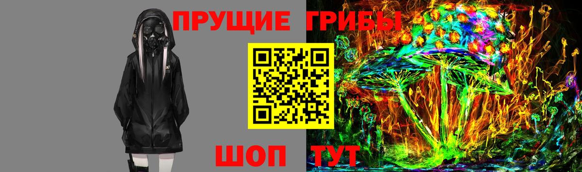 Псилоцибиновые грибы Psilocybine cubensis  купить наркотики цена  Галлюциногенные грибы мухоморы  Петропавловск-Камчатский  Вход с VPN 